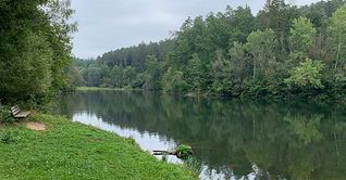 Der idyllische Sulzbachsee wird entschlammt.